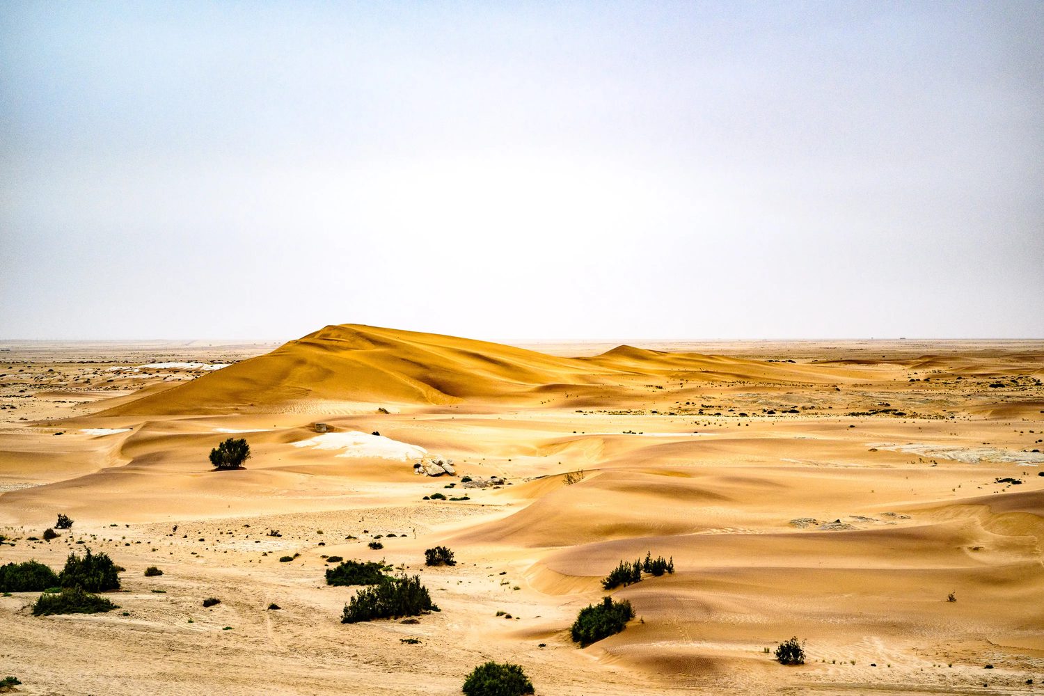 MadWay Rally Mad Max style vehicles crossing the orange dunes of Namibia