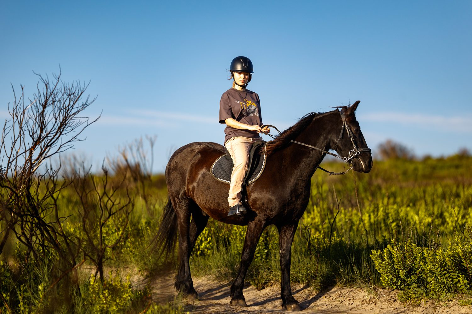 MadWay Rally participant riding a horse through the fynbos hills of the Cape, South Africa